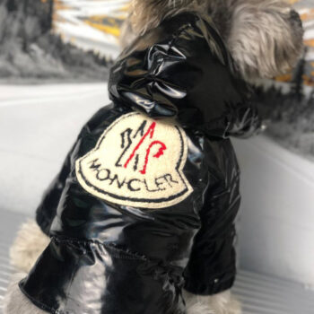 Dog Jacket Moncler - 2025 - Puppy Streetwear Shop