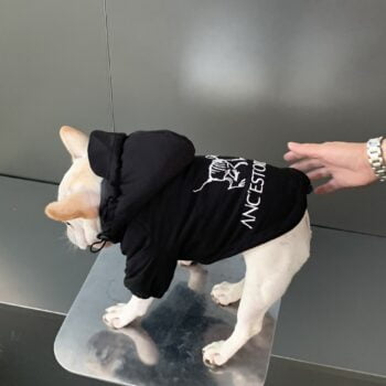 Dog Jacket - 2025 - Puppy Streetwear Shop