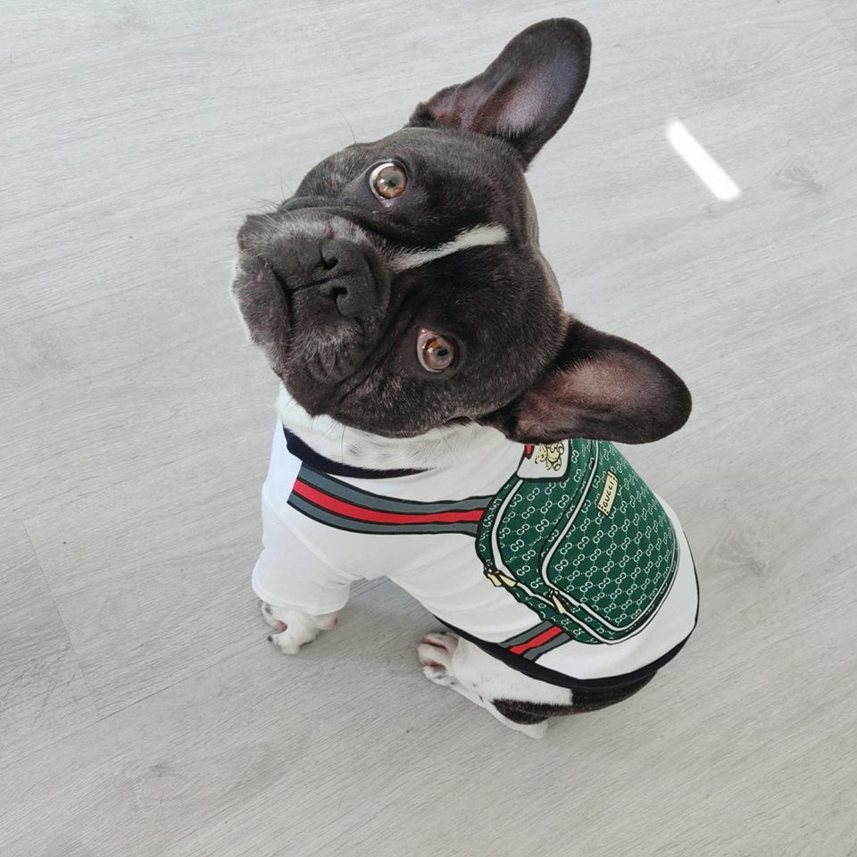 Dog Tshirt Gucci - 2024 - Puppy Streetwear Shop