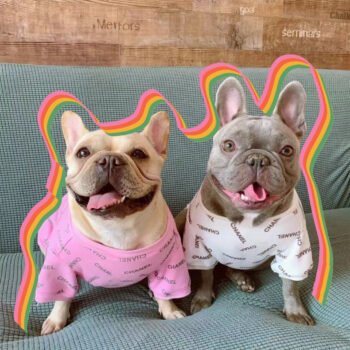 Dog Sweater Chanel - 2025 - Puppy Streetwear Shop