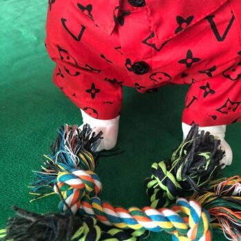 Dog Shirt Louis Pawtton - 2026 - Puppy Streetwear Shop