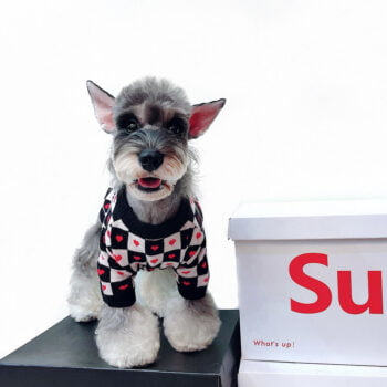 Dog Sweater Dior - 2026 - Puppy Streetwear Shop