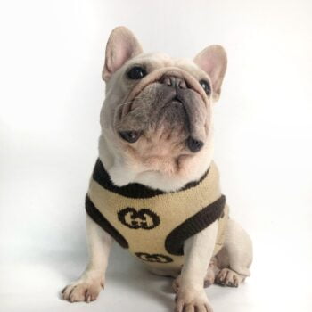 Dog Sweater Pawcci - 2025 - Puppy Streetwear Shop Dog Sweater Pawcci - 2025 - Puppy Streetwear Shop