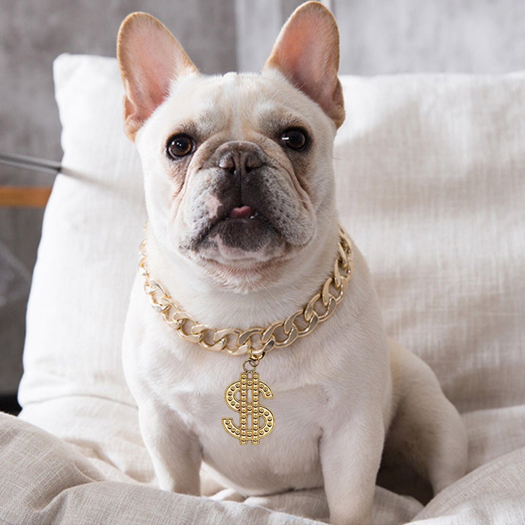 Dog Chain - 2025 - Puppy Streetwear Shop