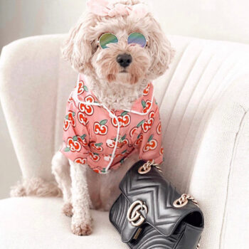 Dog Shirt Pawcci - 2025 - Puppy Streetwear Shop