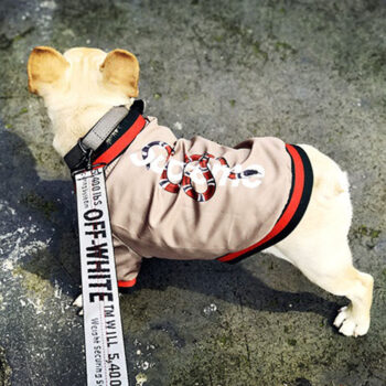 Dog Jacket Pawcci - 2025 - Puppy Streetwear Shop