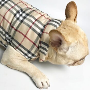 Dog Jacket Burberry - 2026 - Puppy Streetwear Shop
