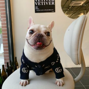 Dog Sweater Pawcci - 2025 - Puppy Streetwear Shop