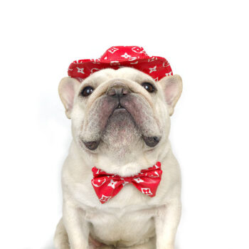 Dog Caps and Bow Tie - 2025 - Puppy Streetwear Shop