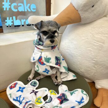 Dog Hoodies Louis Pawtton - 2025 - Puppy Streetwear Shop