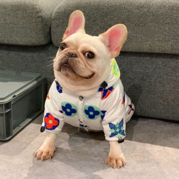 Dog Hoodies Louis Pawtton - 2025 - Puppy Streetwear Shop