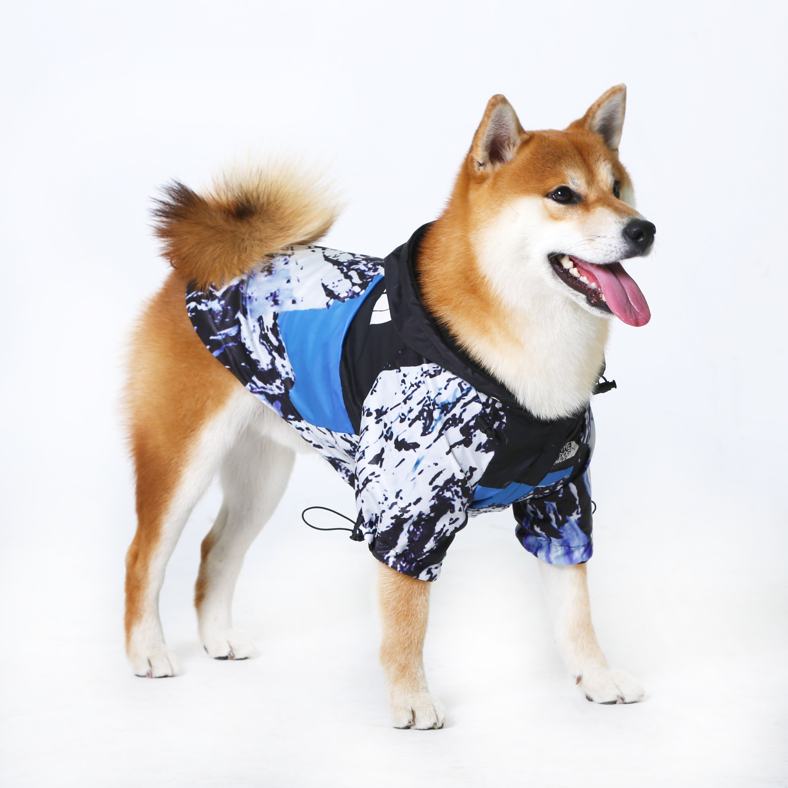 Designer Dog Jacket The Dog Face Snow Mountain - 2023 - Puppy Streetwear Shop