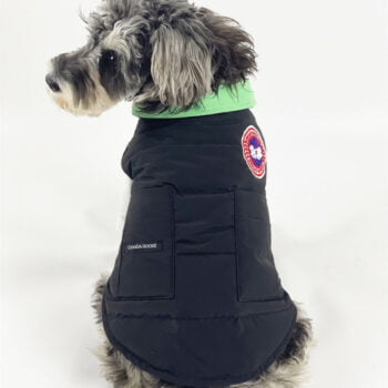 Dog Jacket Canada Goose - 2026 - Puppy Streetwear Shop