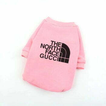 Designer-Inspired Dog Sweatshirt | The North Face Style - 2025 - Puppy Streetwear Shop