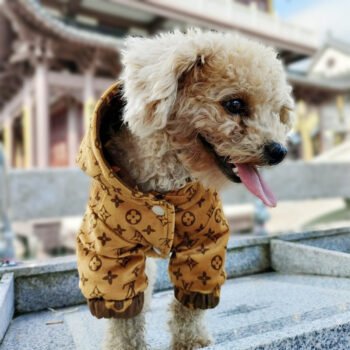 Dog Jacket Louis Pawtton - 2025 - Puppy Streetwear Shop