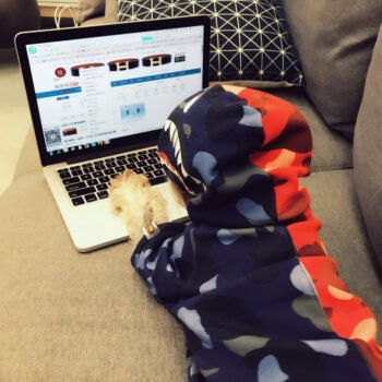 Dog Hoodies Bape - 2025 - Puppy Streetwear Shop