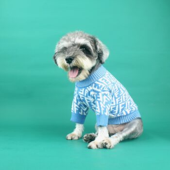 Dog Sweater Fendi - 2025 - Puppy Streetwear Shop