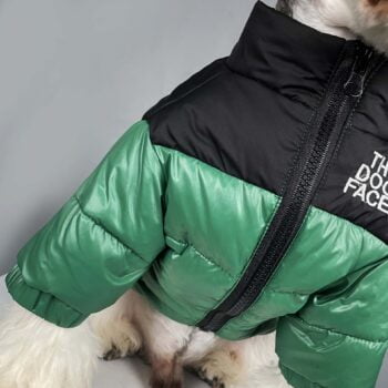 Dog Jacket The Dog Face - 2025 - Puppy Streetwear Shop Dog Jacket The Dog Face - 2025 - Puppy Streetwear Shop