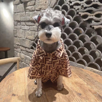 Dog Shirt Fendi - 2025 - Puppy Streetwear Shop