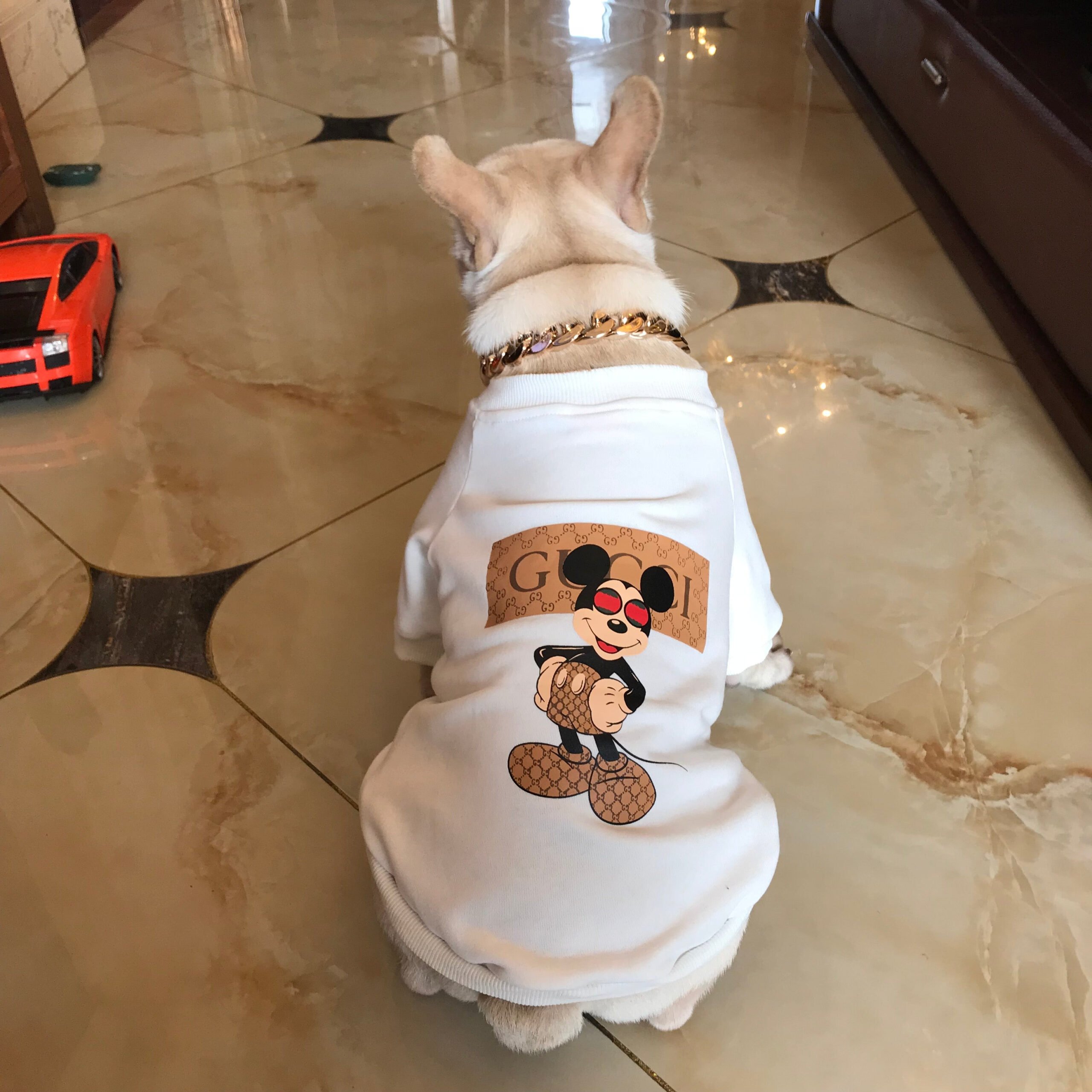 Designer Dog Sweatshirt Gucci - 2023 - Puppy Streetwear Shop