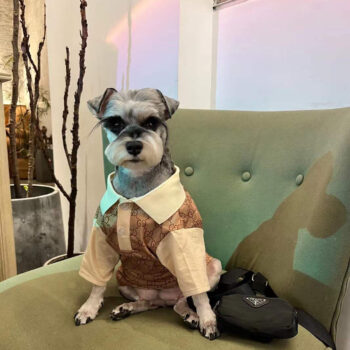 Dog Tshirt Pawcci - 2026 - Puppy Streetwear Shop