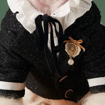 Dog Jacket Chanel - 2025 - Puppy Streetwear Shop Dog Jacket Chanel - 2025 - Puppy Streetwear Shop