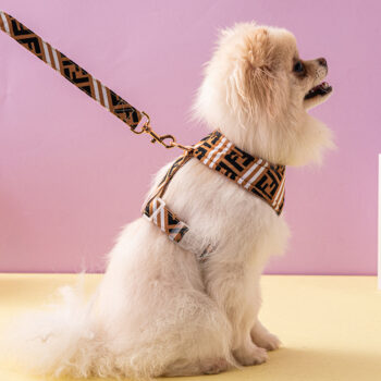 Dog Collar Harness Fendi - 2025 - Puppy Streetwear Shop