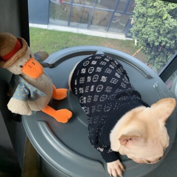 Dog Sweater Louis Pawtton - 2025 - Puppy Streetwear Shop