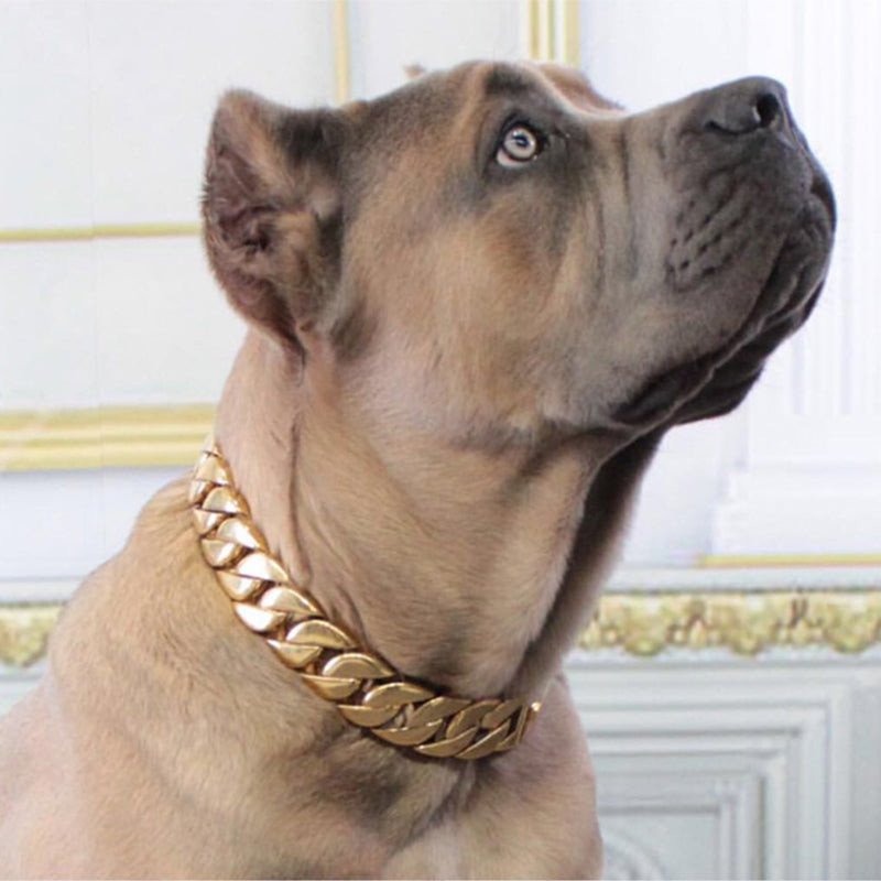 Dog Collar - 2025 - Puppy Streetwear Shop