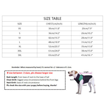 Dog Dress Burberry - 2026 - Puppy Streetwear Shop