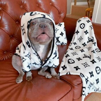 Dog Hoodies Louis Pawtton - 2025 - Puppy Streetwear Shop
