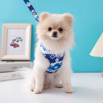 Dog Collar Harness Louis Pawtton - 2025 - Puppy Streetwear Shop