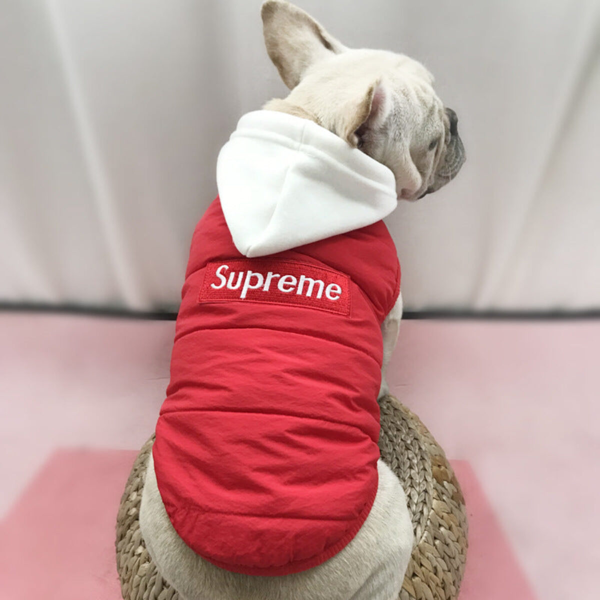 Dog hotsell supreme jacket