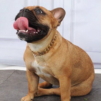 Dog Collar - 2025 - Puppy Streetwear Shop Dog Collar - 2025 - Puppy Streetwear Shop