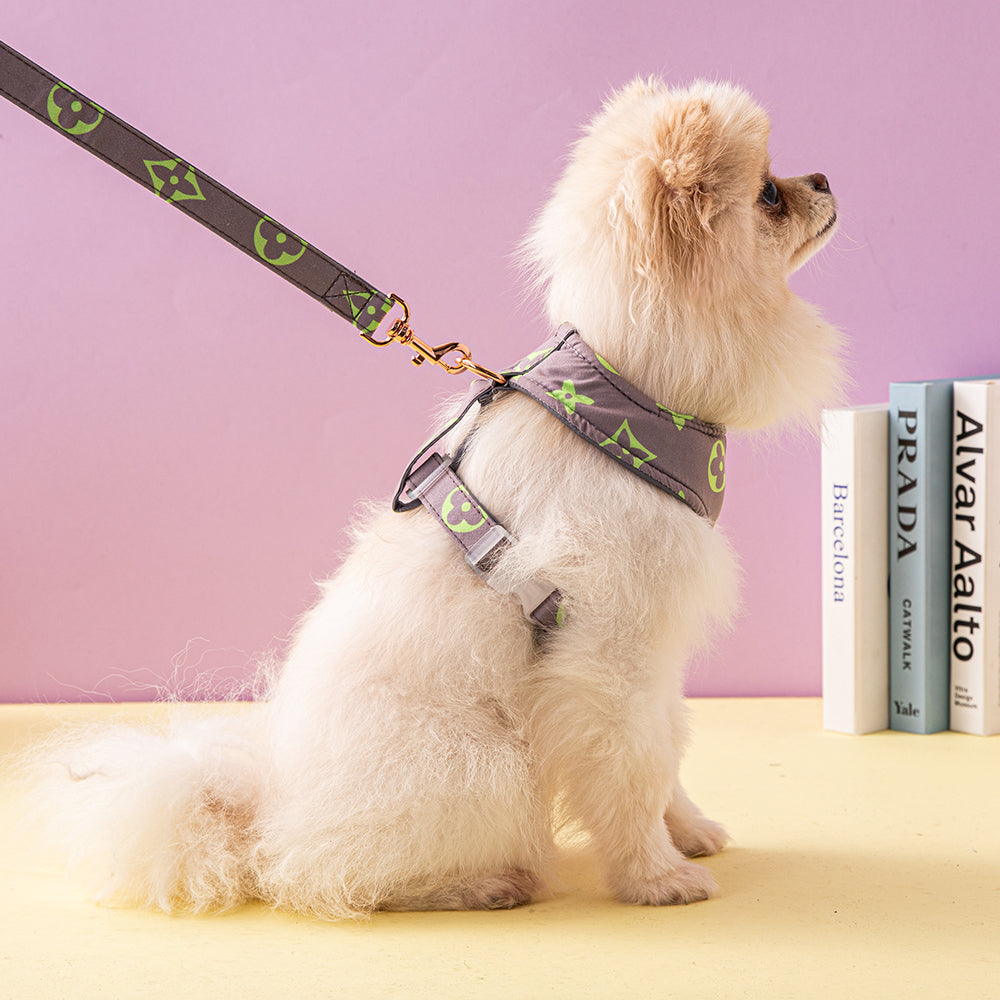 Designer Dog Collar Harness Louis Vuitton - 2023 - Puppy Streetwear Shop