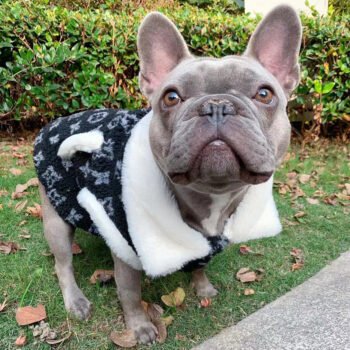 Dog Jacket Louis Pawtton - 2025 - Puppy Streetwear Shop Dog Jacket Louis Pawtton - 2025 - Puppy Streetwear Shop