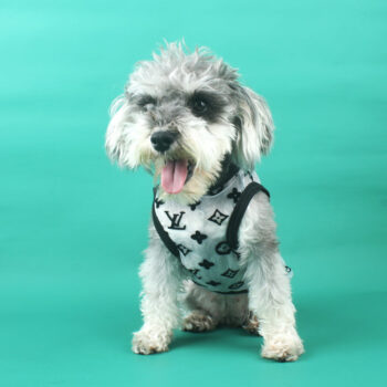 Dog Vest Louis Pawtton - 2025 - Puppy Streetwear Shop