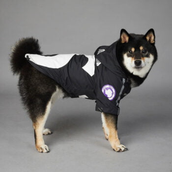 Dog Hoodies The North Face - 2025 - Puppy Streetwear Shop