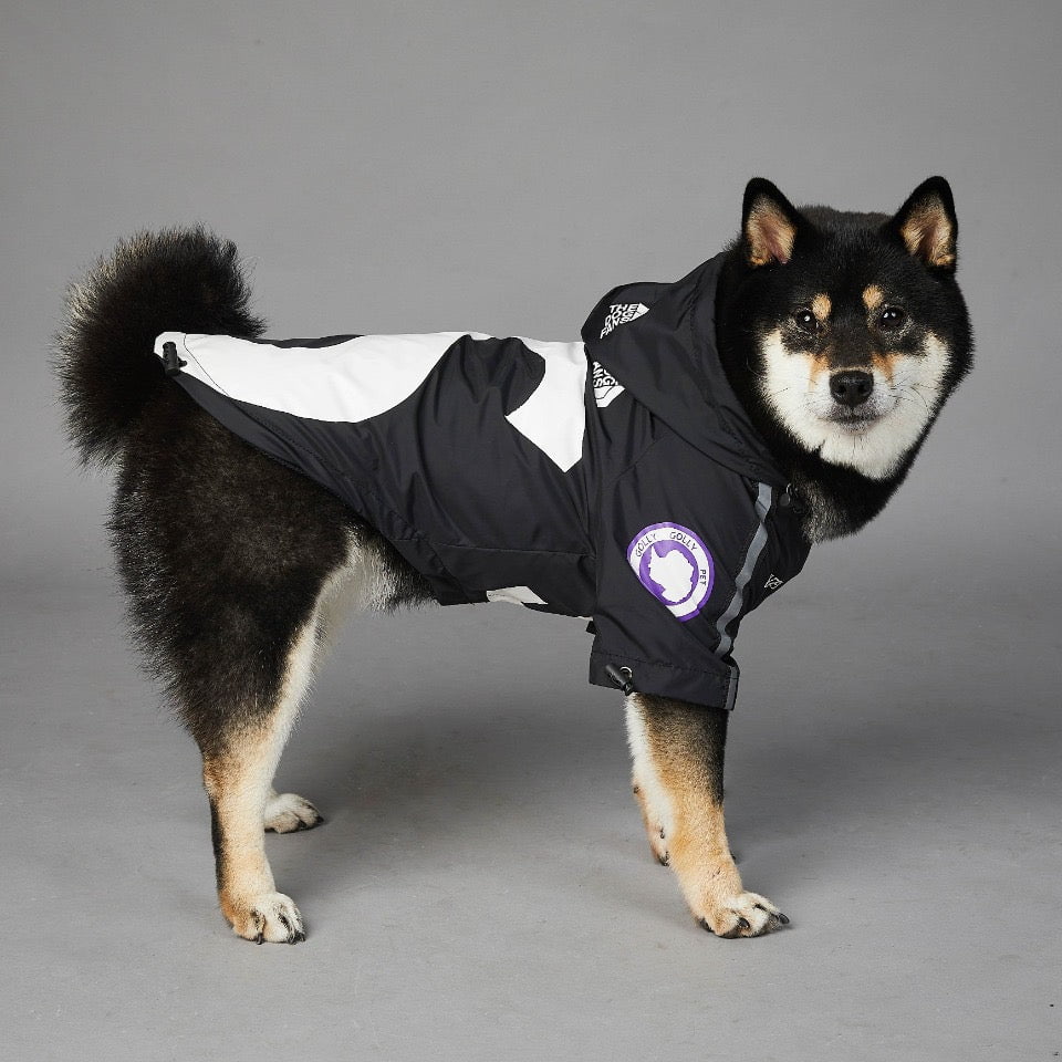 Dog Hoodies The North Face - 2024 - Puppy Streetwear Shop