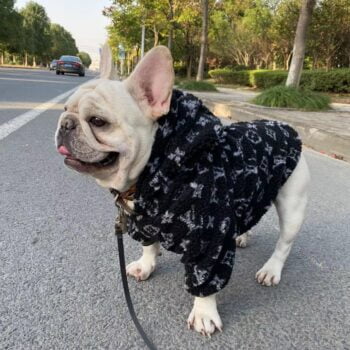 Dog Hoodies Louis Pawtton - 2025 - Puppy Streetwear Shop