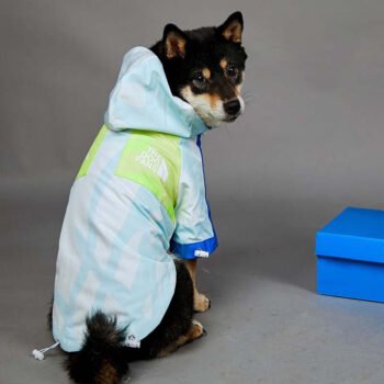Dog Hoodies The North Face - 2025 - Puppy Streetwear Shop
