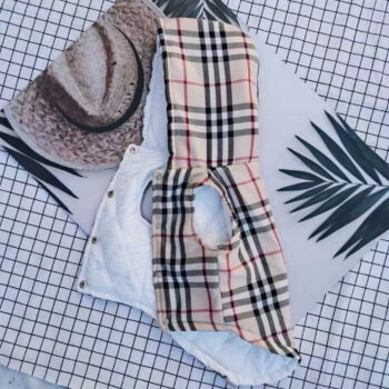 Dog Hoodies Burberry - 2025 - Puppy Streetwear Shop