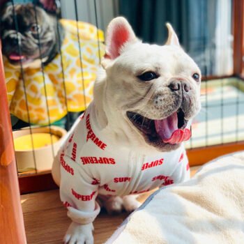 Dog Jacket Supreme - 2025 - Puppy Streetwear Shop