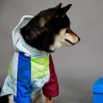 Dog Hoodies The North Face - 2025 - Puppy Streetwear Shop