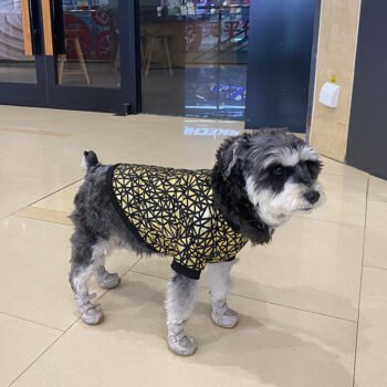 Dog Sweatshirt - 2025 - Puppy Streetwear Shop