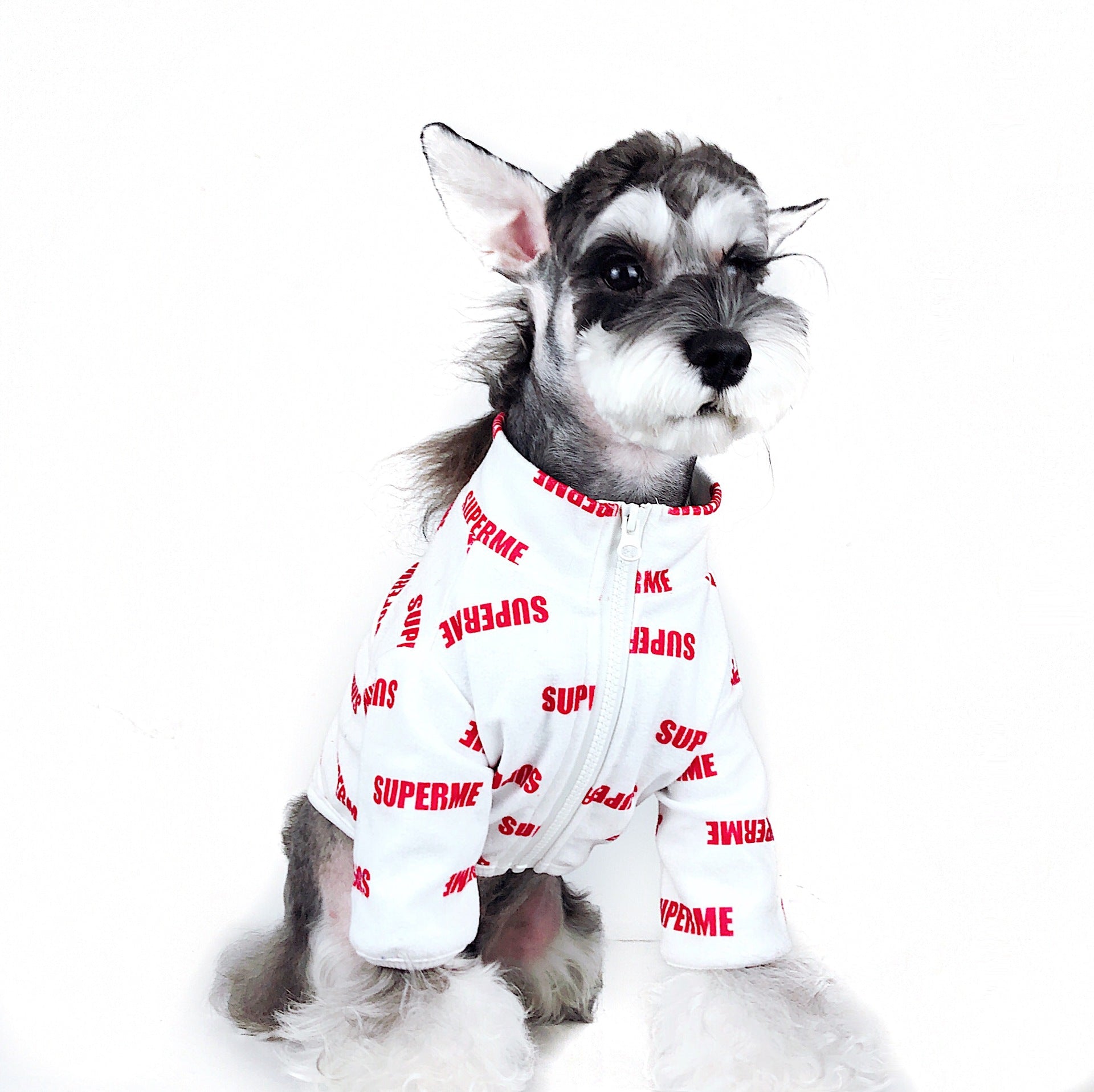 Designer Dog Jacket Supreme - 2023 - Puppy Streetwear Shop