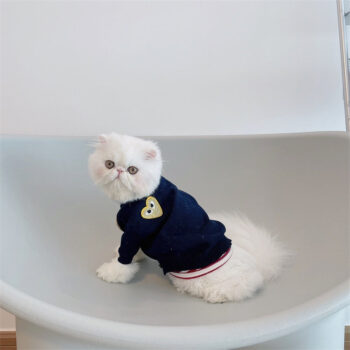Dog Sweater CDG - 2026 - Puppy Streetwear Shop