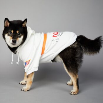 Dog Hoodies Nasa - 2025 - Puppy Streetwear Shop