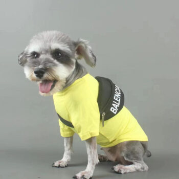 Dog Backpack Balenciaga - 2026 - Puppy Streetwear Shop