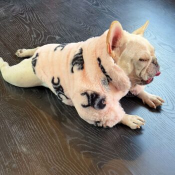 Dog Jacket Celine - 2025 - Puppy Streetwear Shop